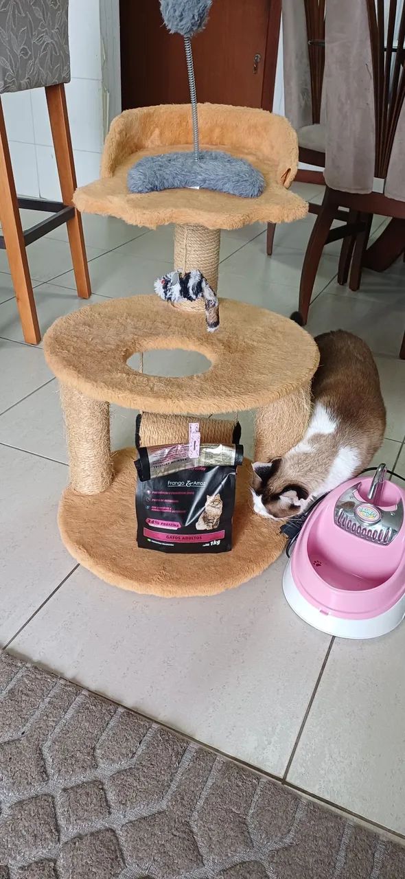 Combo Gato - Foto 3