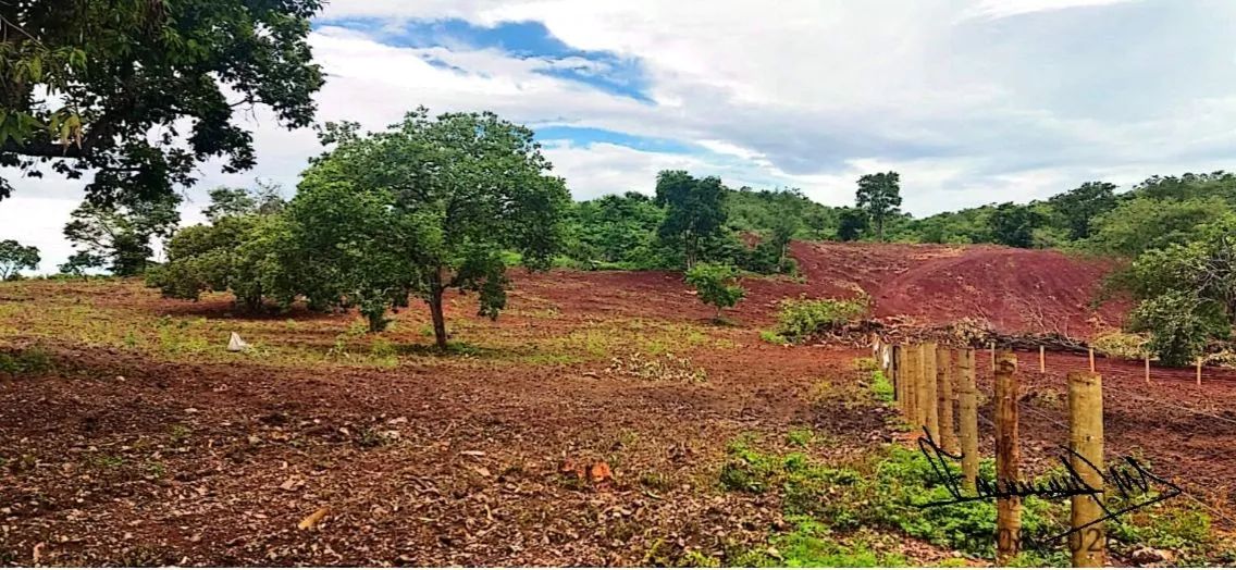 Fazenda 30 alqueires - Crixás GO  - Foto 2