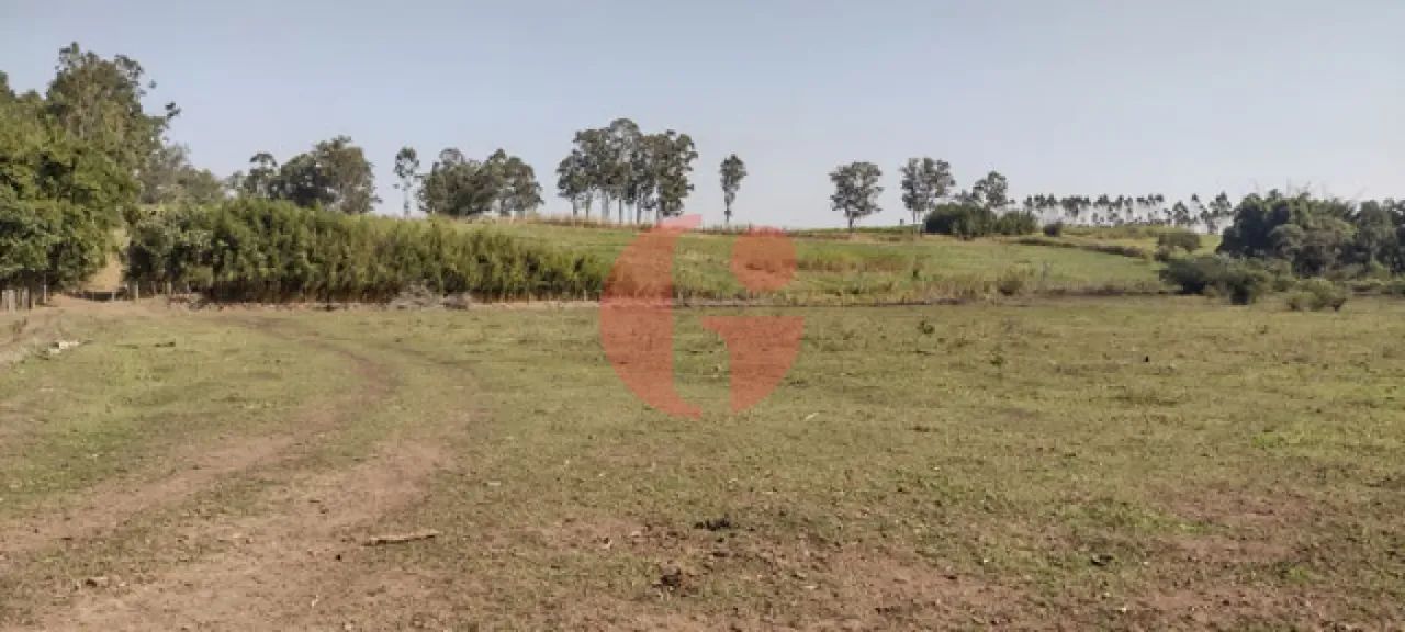 Sítio / Haras com casa sede para venda em Pindamonhangaba - SP - Foto 4