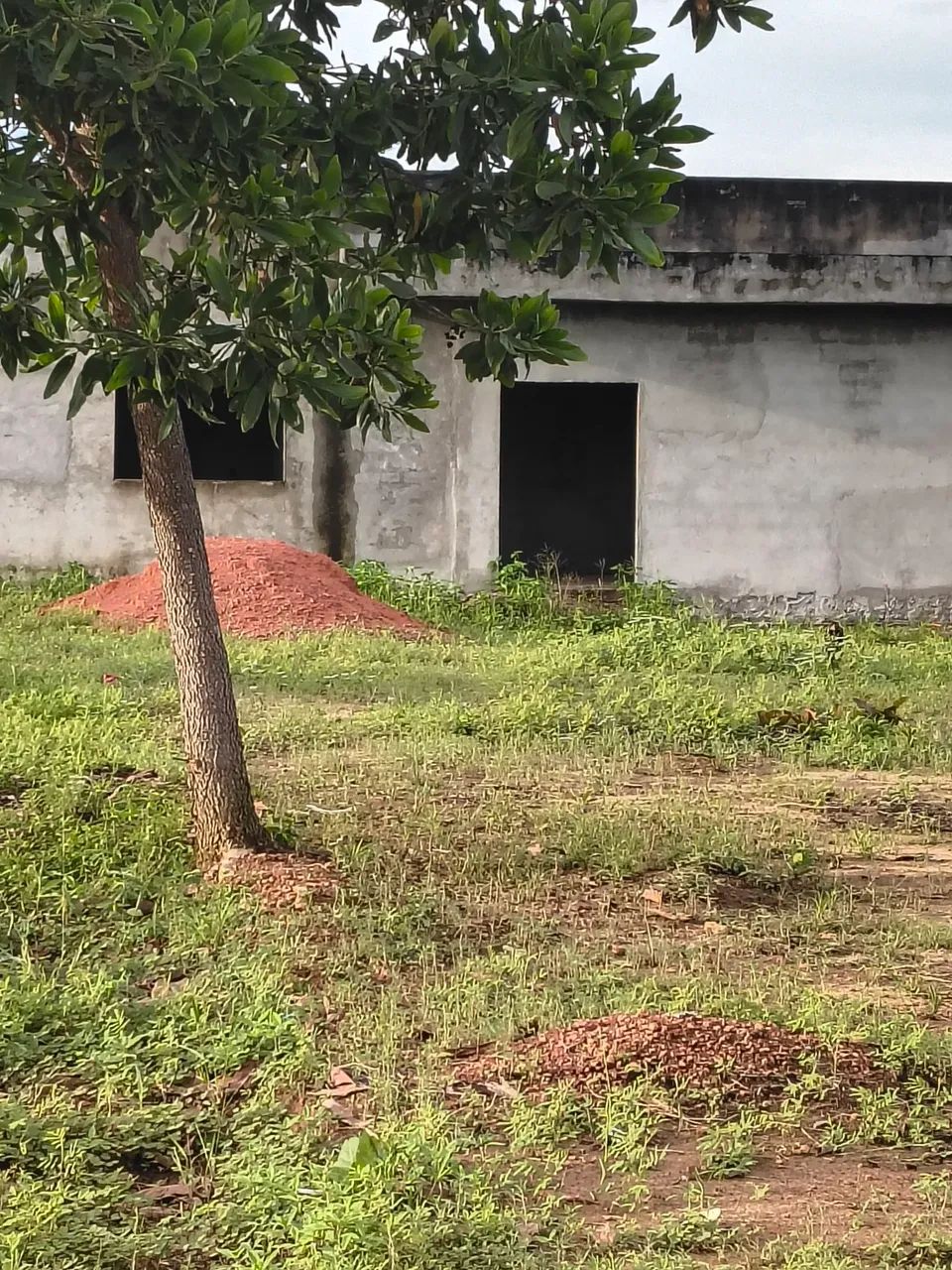 Terreno medindo 10 por 50 com uma casa - Foto 3