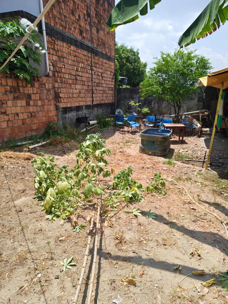 Terreno na colônia terra nova  - Foto 5