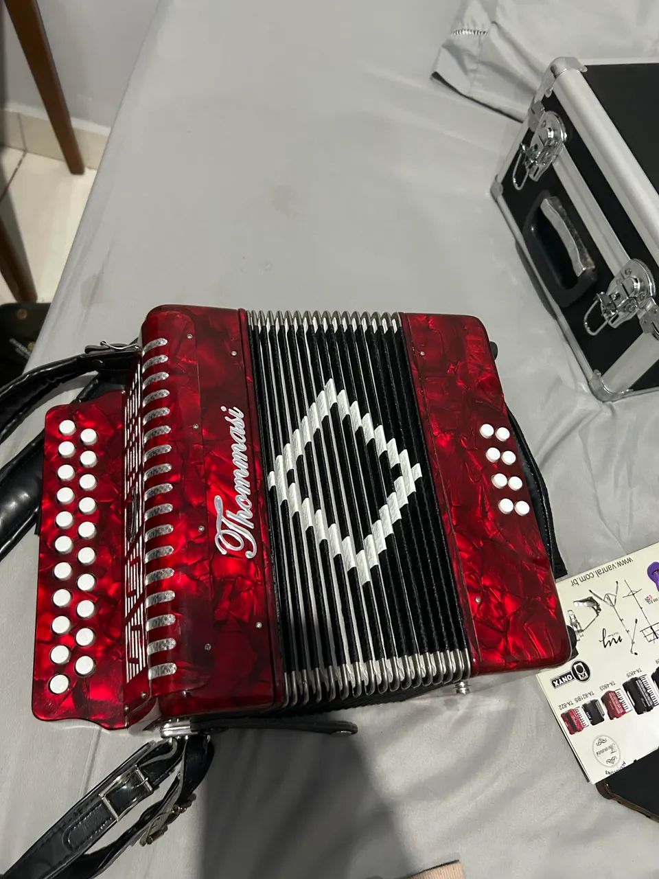 ACORDEON/SANFONA 