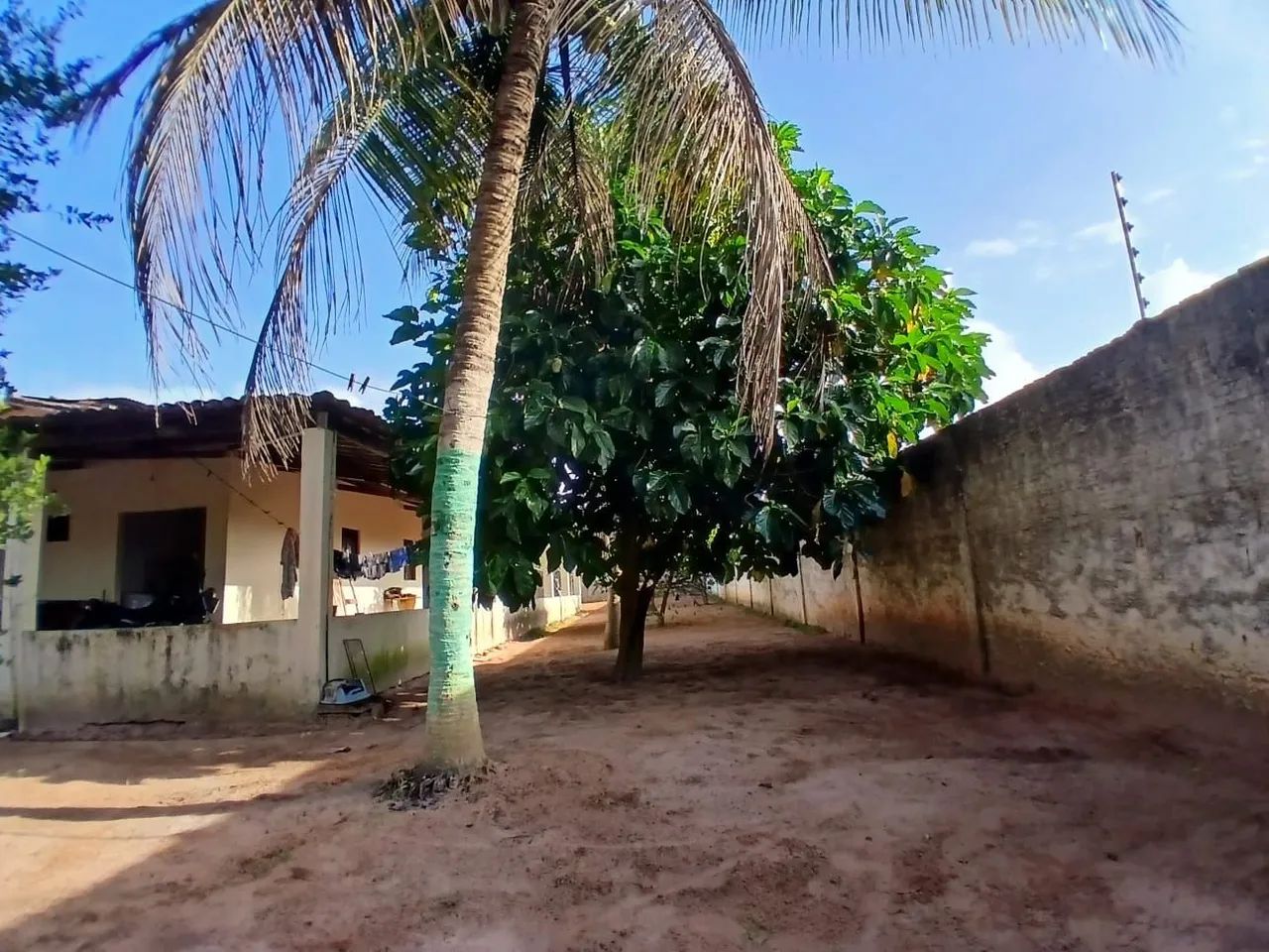 Granja Acari  - Foto 2