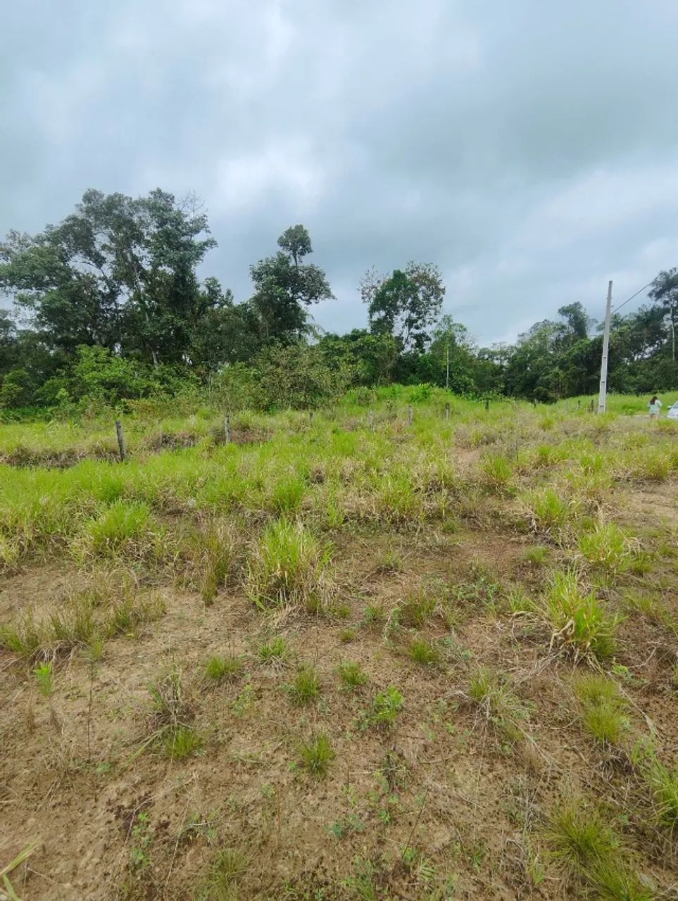 Lote Araquari 270m2 - Centro - Foto 5