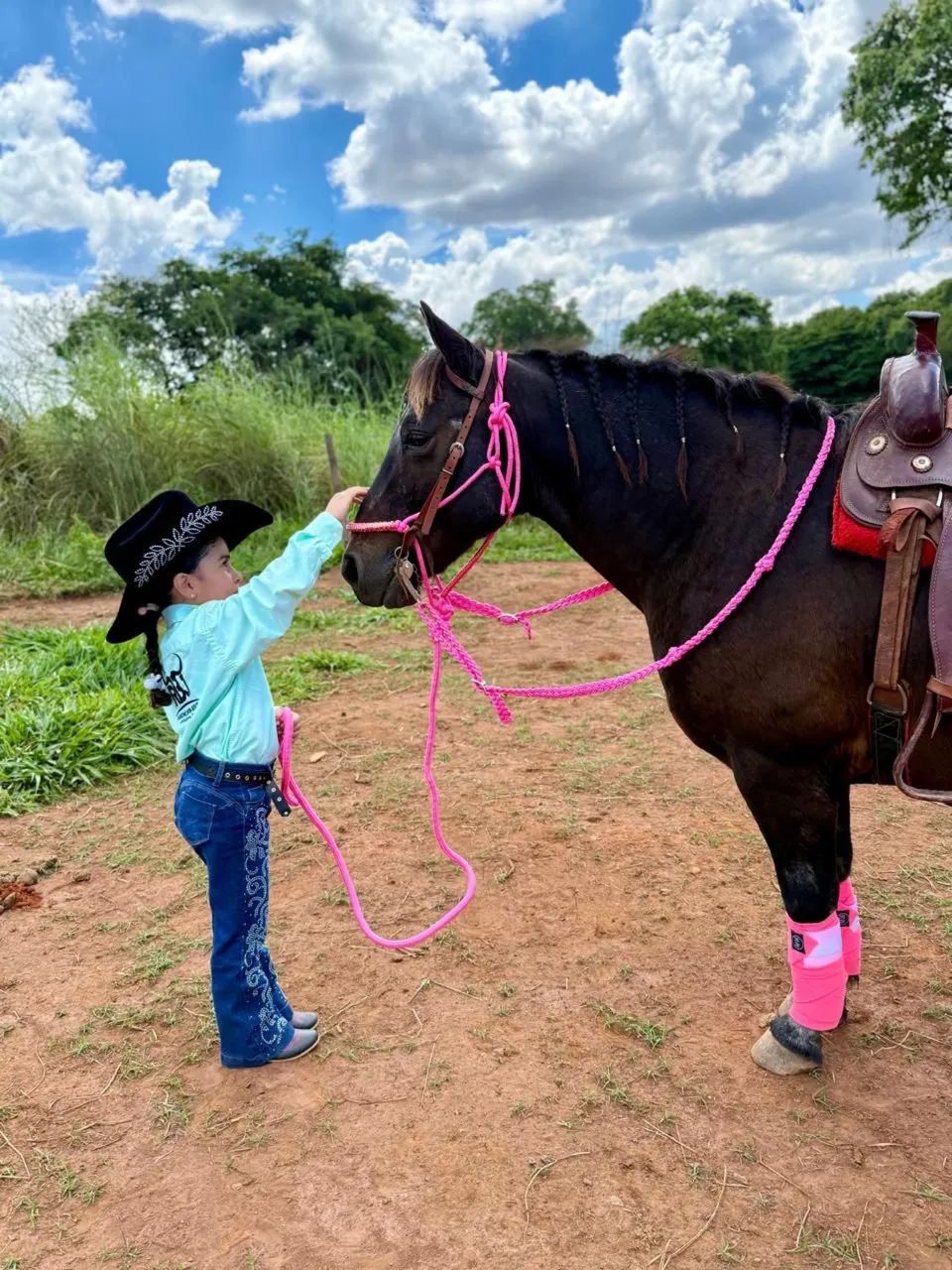 Cavalo piquira muito bem cuidado. - Foto 2