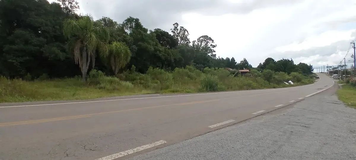 CAXIAS DO SUL - Terreno Padrão - FORQUETA - Foto 5