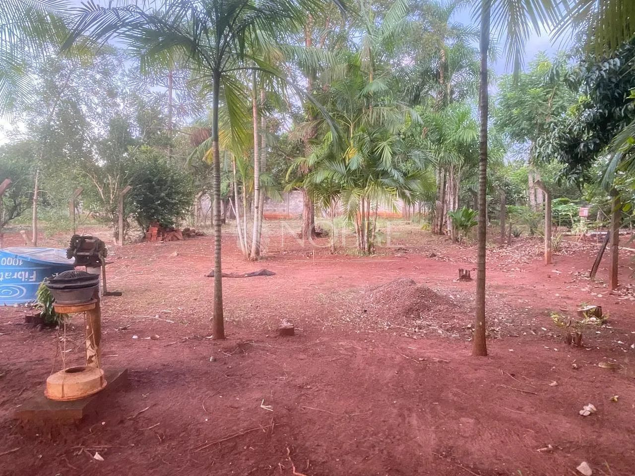 Chácara Rio Ivaí - Foto 3