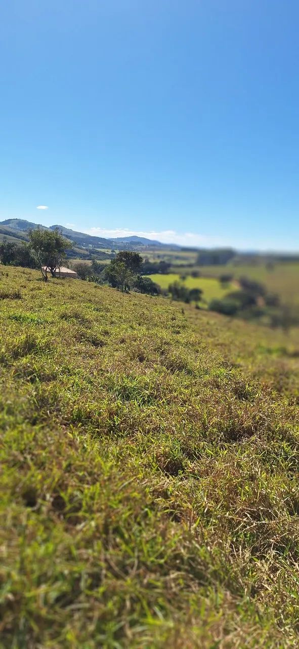 Vendo  Chacrinhas  no Sul de Minas - Foto 4