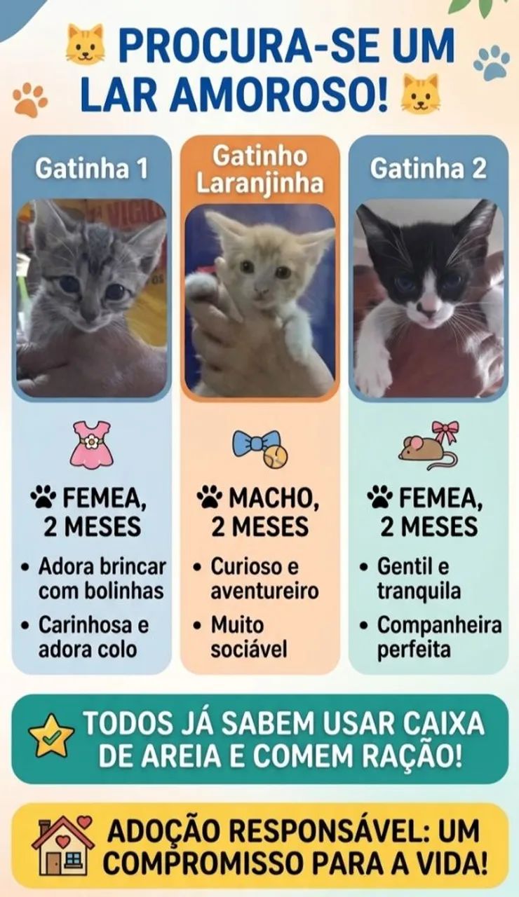 Adoção Responsável 