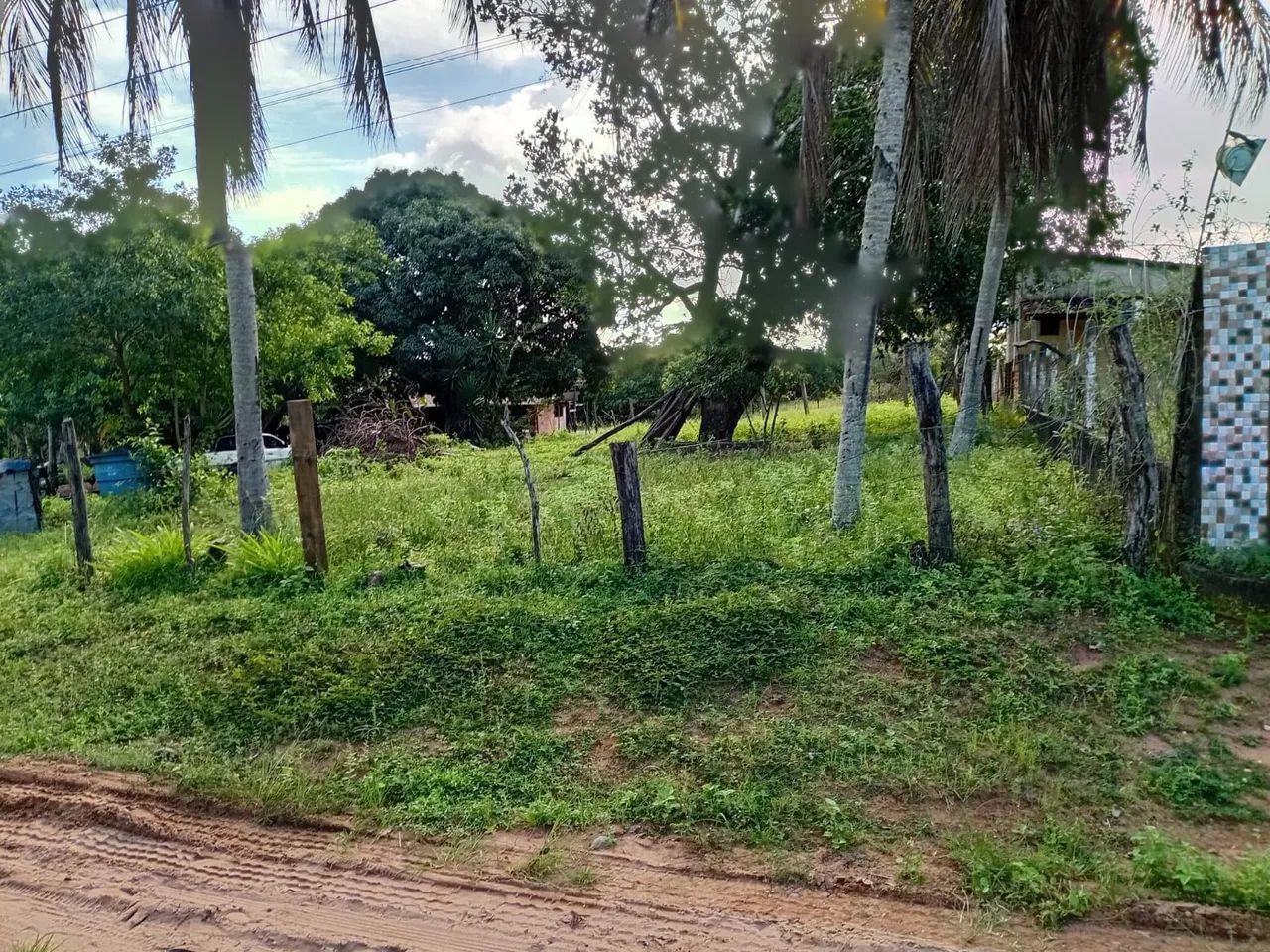 Sitio com 6 tarefas 90 mil - Foto 3
