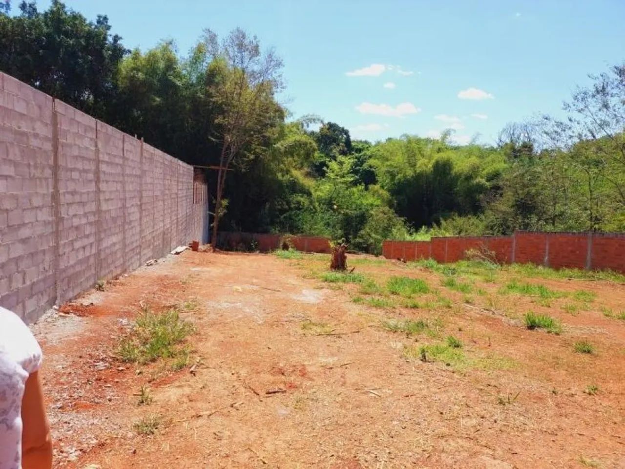 Área - Rua do Pasto - Chácara Bela Vista - Foto 3