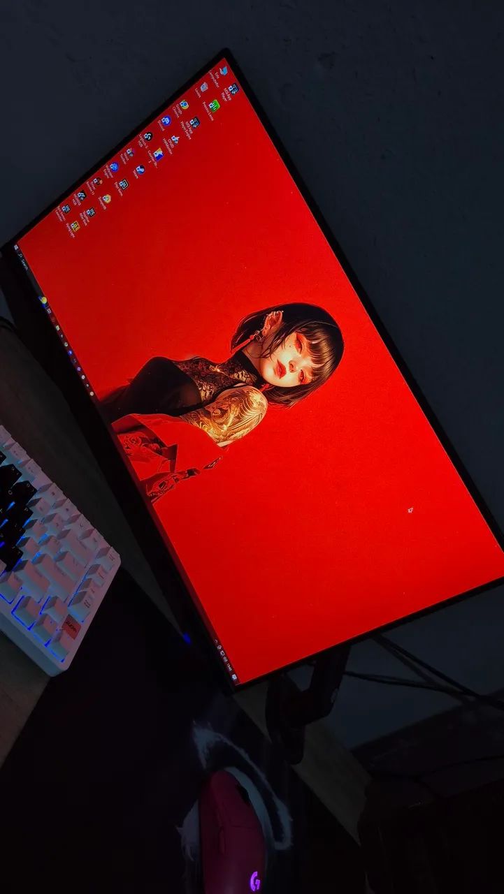 Monitor crs24b