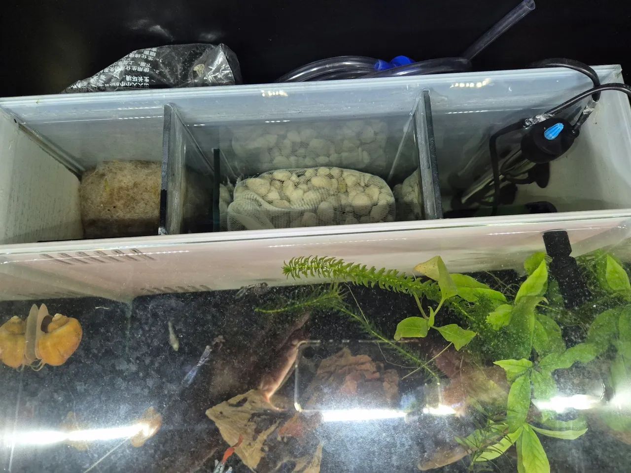 Aquário oceano tech com sump  - Foto 3