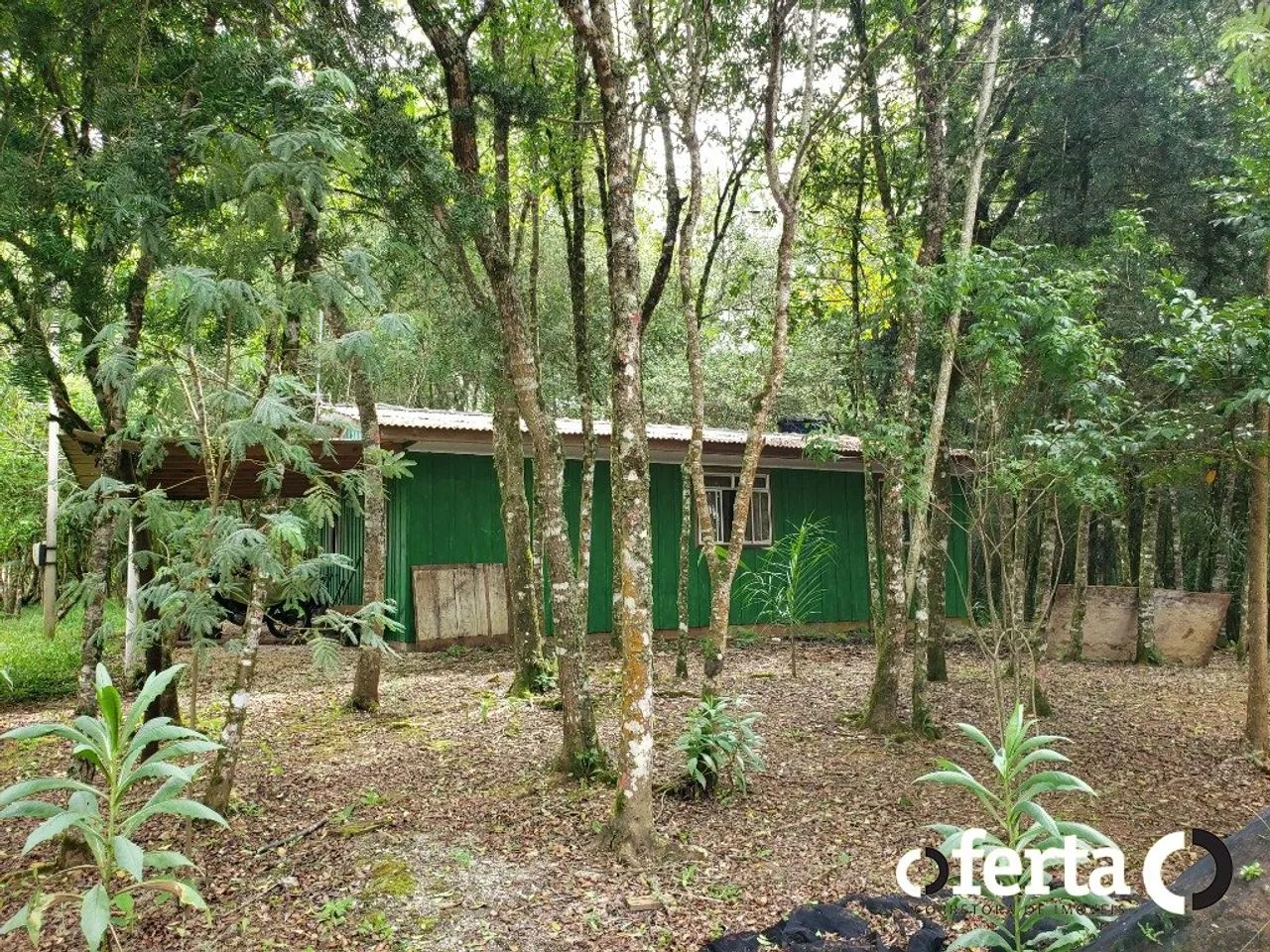 Chácara com casa em Contenda - Foto 3