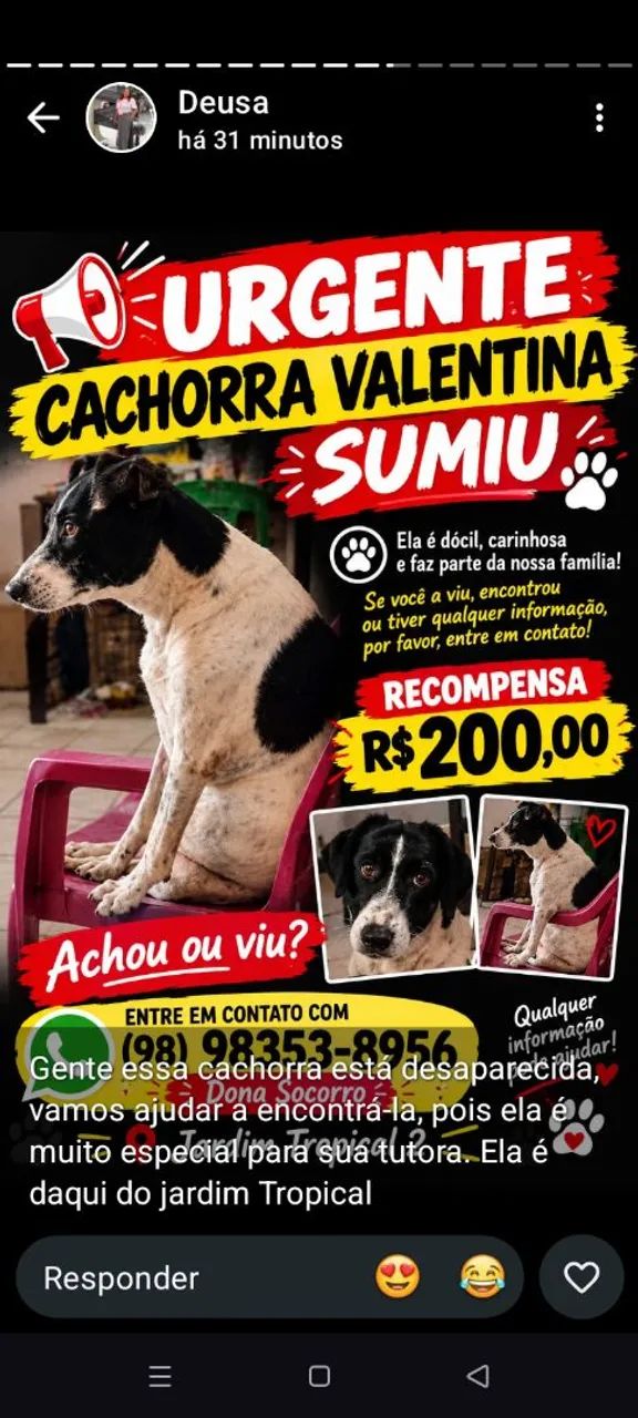 Animal desaparecido 