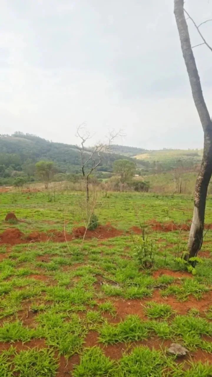 CHÁCARA 1.000m2 PRÓXIMA A CACHOEIRA, ITATIAUÇU - Foto 3