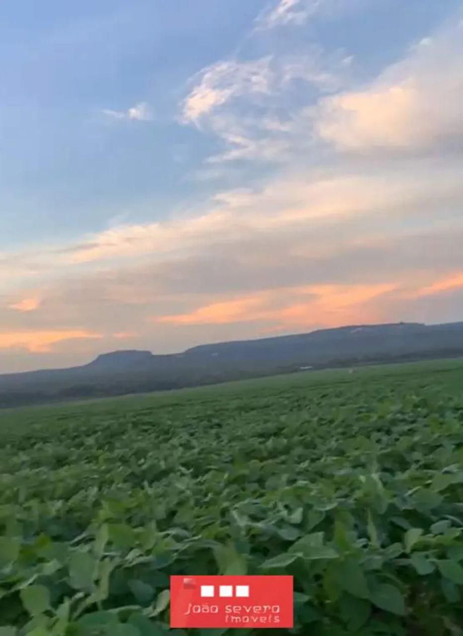 Fazenda para Venda em Novo Jardim - Foto 4