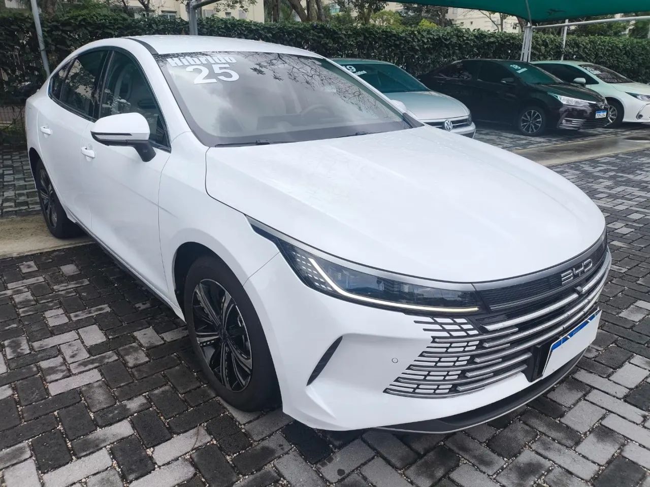 BYD King 2025
