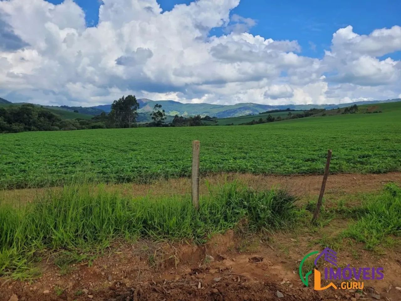 FAZENDA - CENTRO - MG - Foto 4