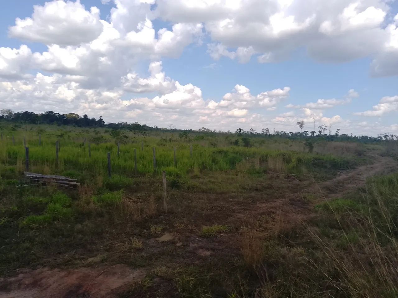 Terra com boa localização 