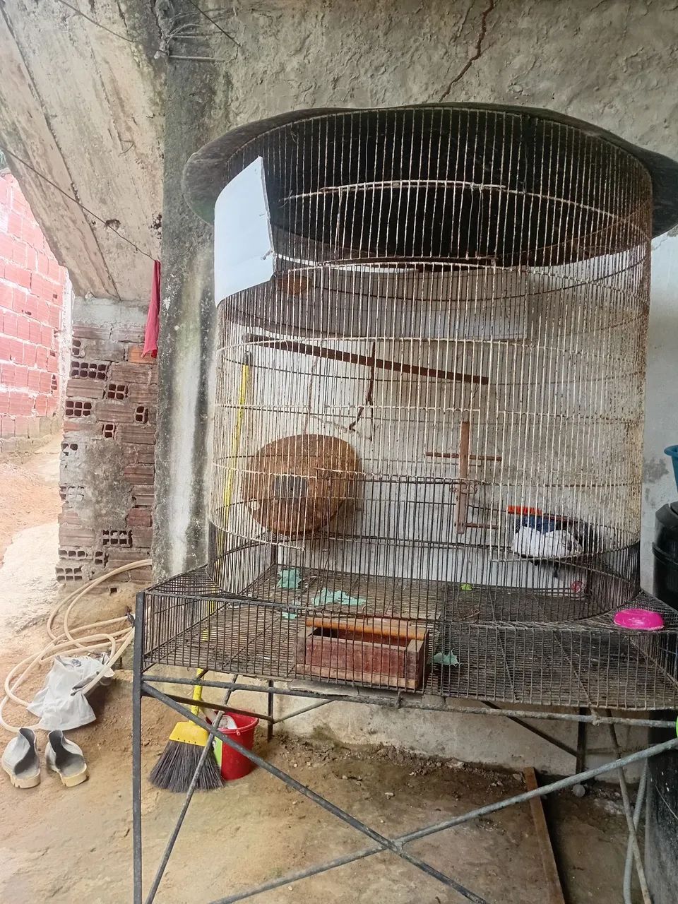 Viveiros para pássaros 