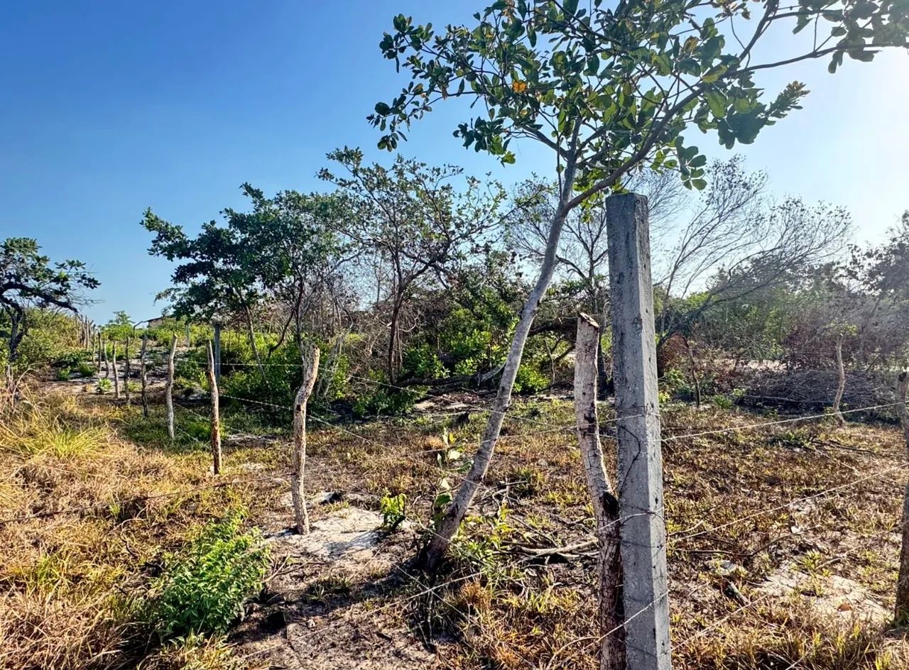 TERRENO À VENDA EM BARREIRINHAS - Foto 2