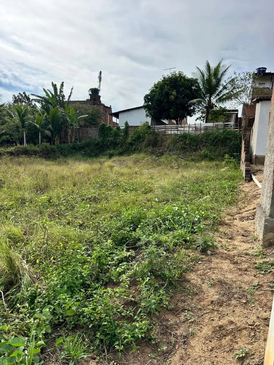 TERRENO 10x25 - Foto 5