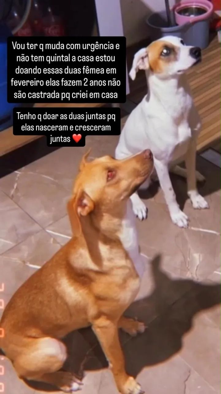 Doação 
