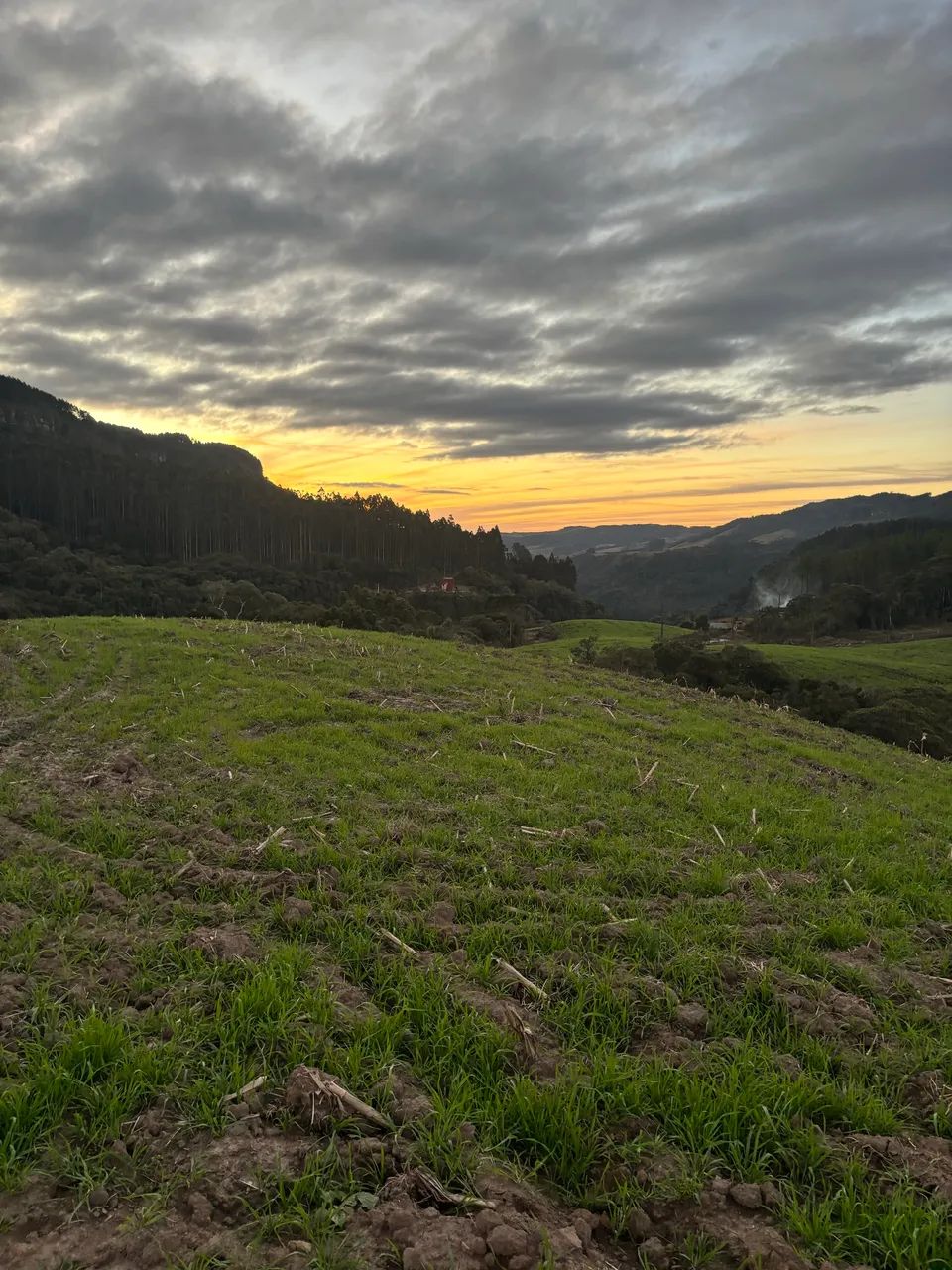 Foto - São José - Campinas