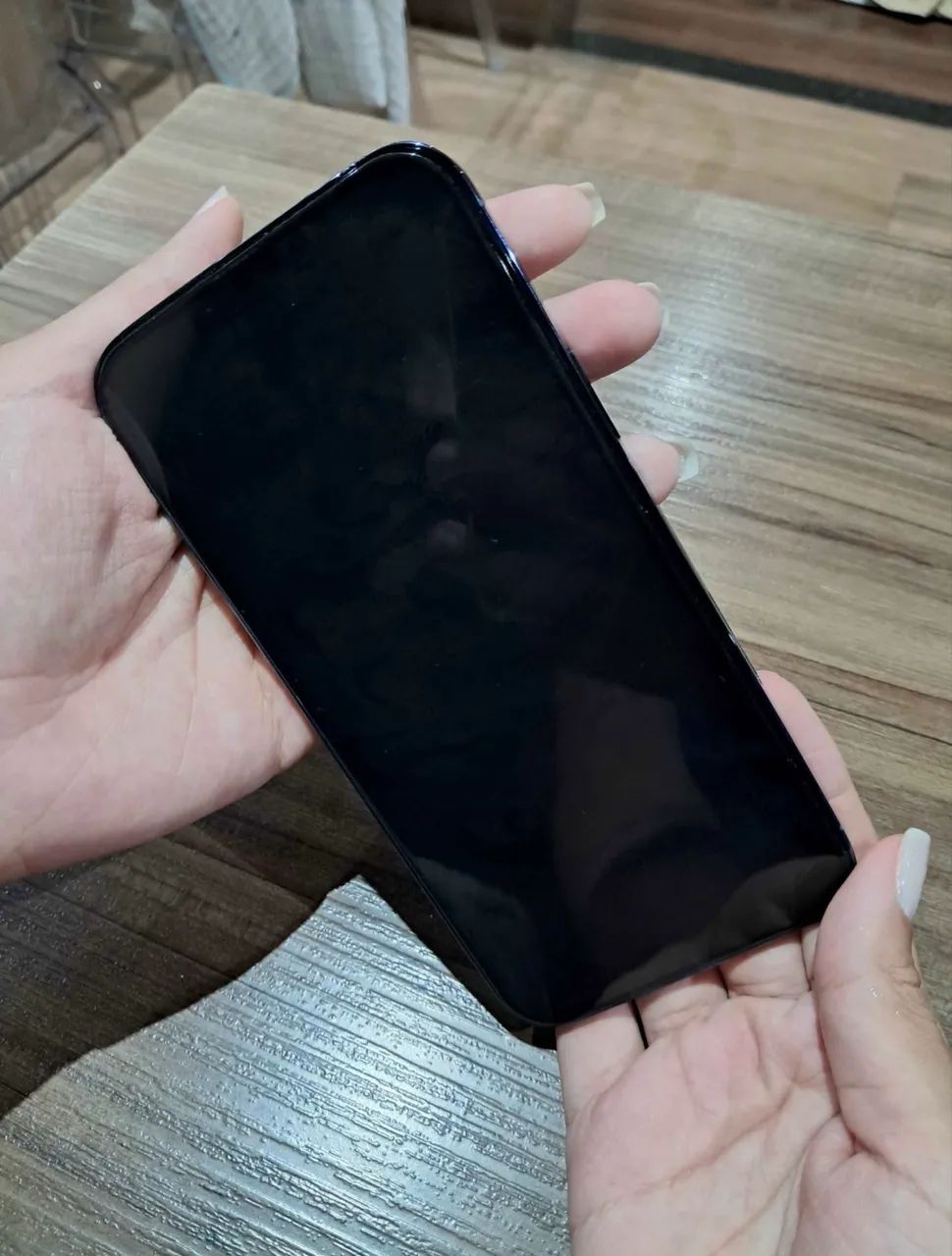 13 pro max 256GB primeiro dono 