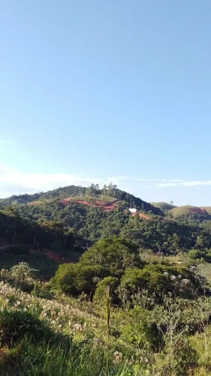 Lotes Que Estão Fazendo Sucesso - Foto 5