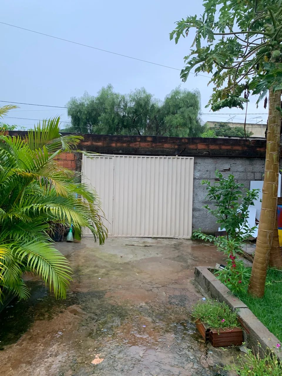 Foto - Goiânia - Boa Vista