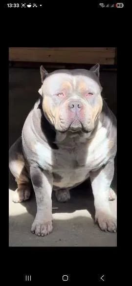 Pit monster 