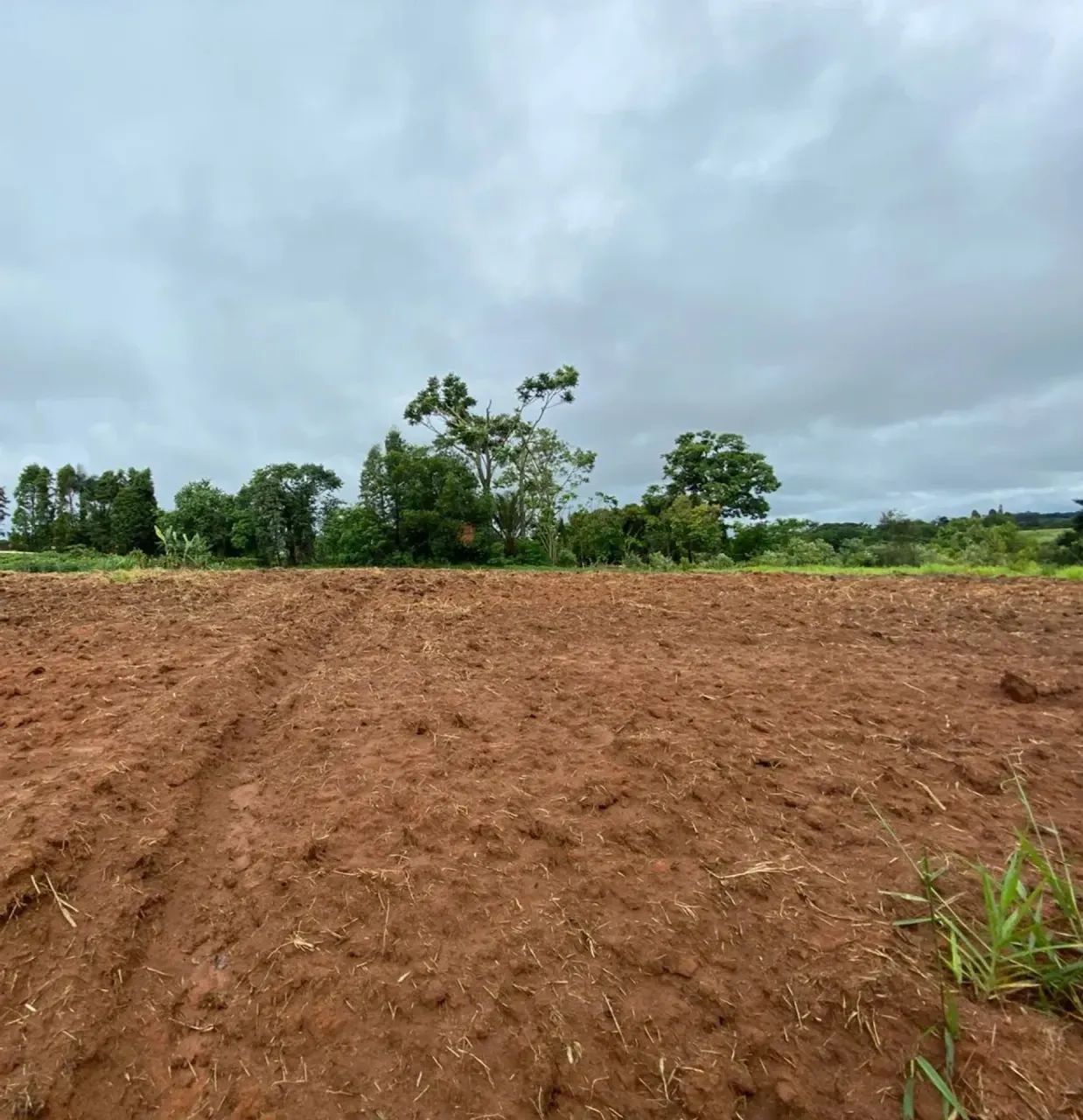 Terreno de 2.000m² em Área Rural de Quadra - SP - Foto 2