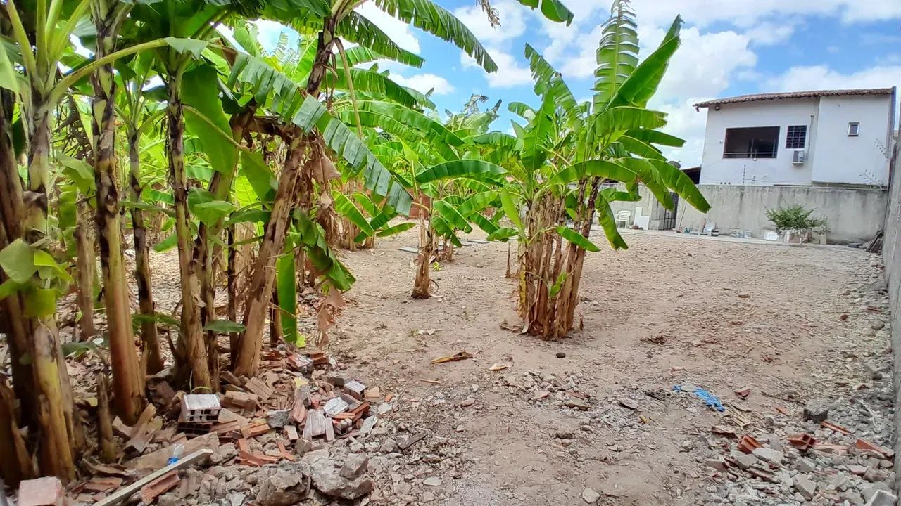 Terreno para locação na Maraponga - Foto 3