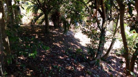Barbada : Casa na Caiacanga, Ribeirão da Ilha, com 3 dormitórios, área de 650m² - Foto 6