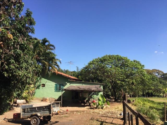Chácara Setor Eli Forte - Goiânia-Oportunidade - Foto 10