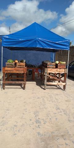 Tenda sanfonada 3x3