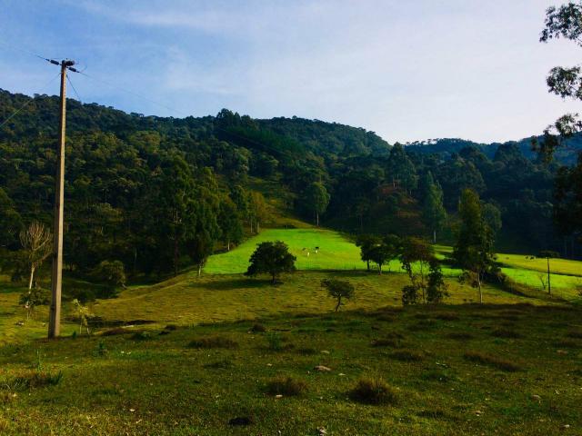 Sítios/Chácaras/Terrenos/Francisco Krtiscka Corretor De imóveis - Foto 6