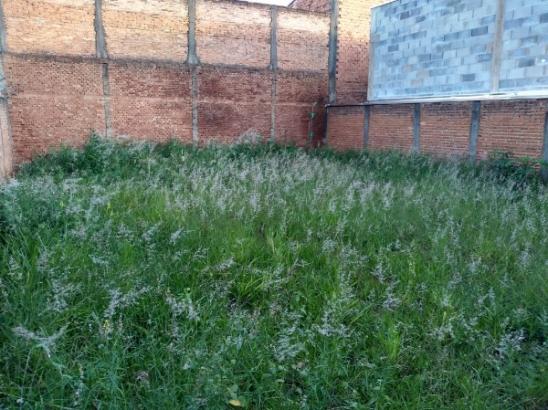 Comercial no Jardim Imperador em Araraquara cod: 8939 - Foto 13