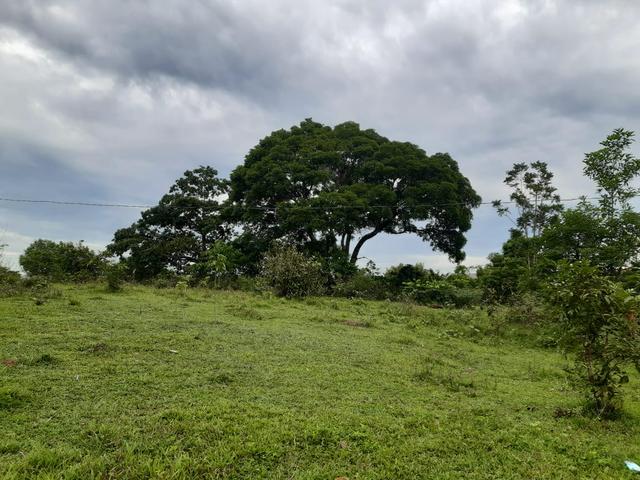 Terreno bem localizado - Foto 2