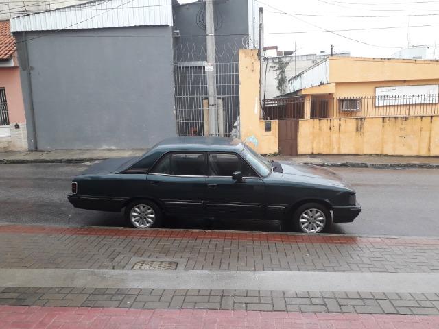 Opala diplomata - Foto 5