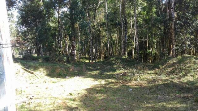 Chácara à venda, 6904 m², com 1 construção, loteamento areia branca dos nogueiras- mandiri - Foto 13