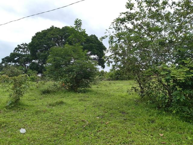 Terreno bem localizado - Foto 5