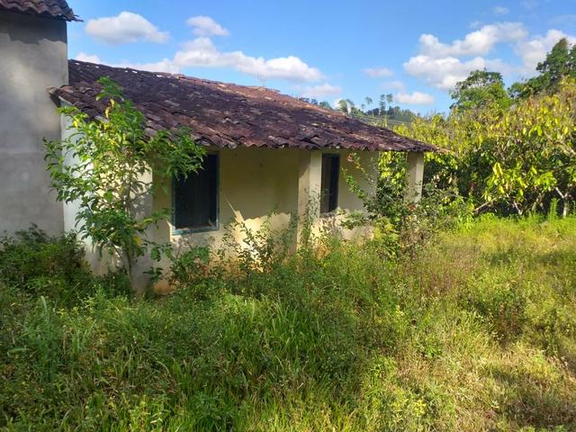 Vendo fazenda em Itamari ba - Foto 4