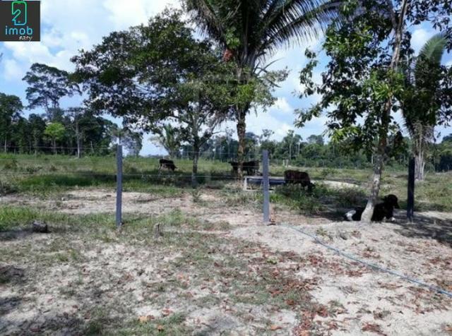 Vendo Fazenda em Novo Airão - Foto 10