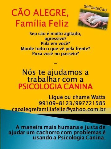 Educando seu cachorro - Foto 3