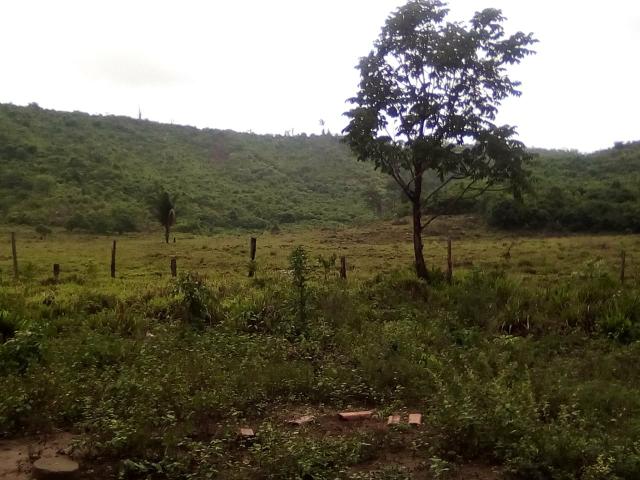 Vendo uma fazenda. chama zap * - Foto 4