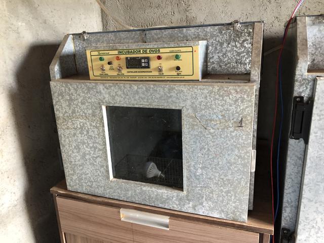 Chocadeira EletroHospitalar 120 ovos