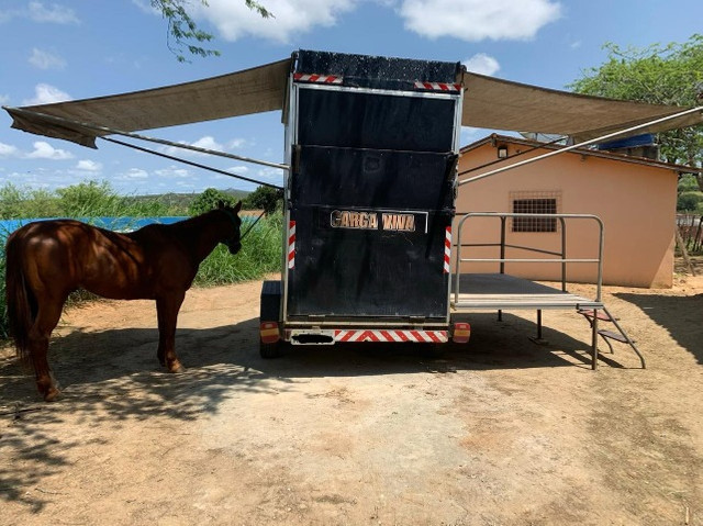 Reboque para cavalo - Foto 3